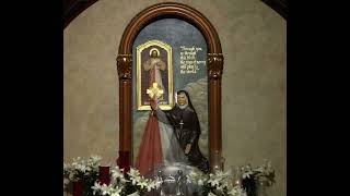 Saint Faustina Diary 1588 inspiration saintfaustina catholic christian christianity god love [upl. by Sral]