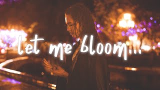 Aqyila  Bloom Lyrics [upl. by Nagrom]