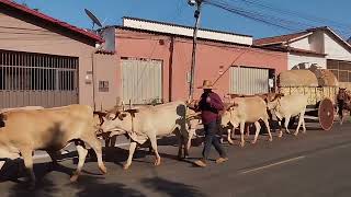 chagada doa romeiros pra festa de Trindade goias 2024 [upl. by Alurd]