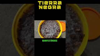 🌱 Guía Completa para Hacer Tierra Negra o Compost en Casa ♻️ [upl. by Vivie549]