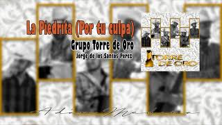 Grupo Torre de Oro  La Piedrita Por tu culpa  Estreno  Charanga [upl. by Annahvas]