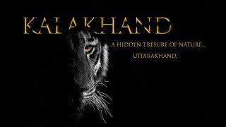 A Hidden treasure of Uttarakhand  Adventure  Drama  Fun  Tigers [upl. by Pentheas]