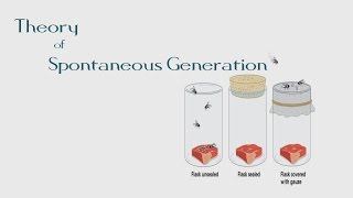 5 Theory of Spontaneous Generation  The BioChemistry Guide  2014 [upl. by Ecienal925]