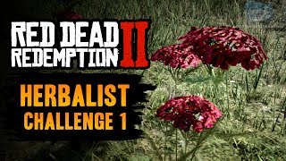 Red Dead Redemption 2 Herbalist Challenge 1 Guide  Pick 6 Yarrow [upl. by Ikila]