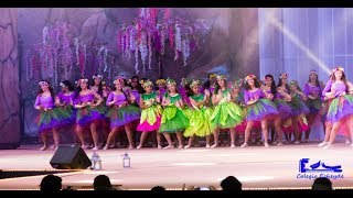 Festival Coreográfico Carnaval 2018 [upl. by Wendelin]