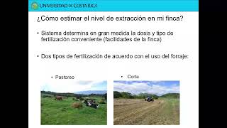 Charla Extracción de nutrientes en pasturas [upl. by Ebbarta]