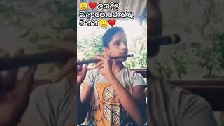 චාංචල දෑසේ මායා😍❤️chanchala dese maya short videocover by Rusiru Lositha flute flutesong music [upl. by Anyzratak]