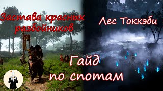 Застава красных разбойников и Лес Токкэби BDO [upl. by Airotal989]