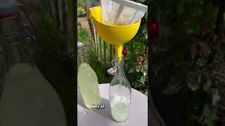 Limonade de Sureau [upl. by Nevile]