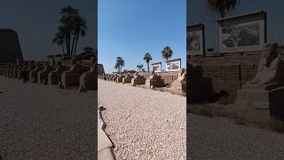 Avenue of Sphinxes Luxor temple Egypt [upl. by Radnaxela81]