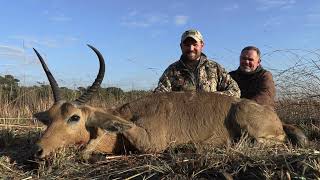 Hunting Reedbuck [upl. by Strickler]