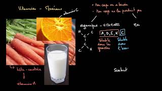 Introduction aux vitamines et aux minéraux [upl. by Ahsiket]