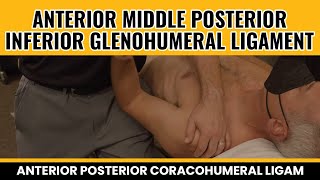 Anterior Middle Posterior Inferior Glenohumeral ligament Anterior Posterior Coracohumeral Ligam [upl. by Ihp]