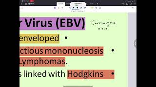 Microbiology  herpesviruses  part 2  AlAmeed university [upl. by Antebi]