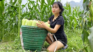 Harvest Baby Corn Goes To Market Sell  Boil Corn and Enjoy  Rural Mountain Life [upl. by Toddie113]