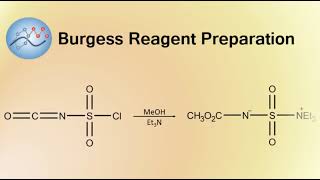 Burgess Reagent Preparation Mechanism  Organic Chemistry [upl. by Ycnaf]