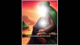 Shahadat Bibi Sakina Noha  New Saraiki Noha  Sharqa batool Zaidi [upl. by Adal]