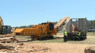 TBG 650 CBI 5800BT Grinding HardwoodSoftwood [upl. by Bocyaj]