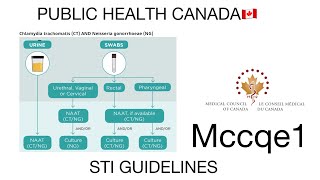 Public Health Canada STI  syphilis gonorrhoea disease or medical condition [upl. by Ahsinan]