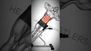 3 exercise for Abs With Dumbbell At Home and Gym shorts workoutmotivation absworkout abs [upl. by Anastice]