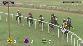 THALAIVAA wins The Sangam Plate Div2 [upl. by Etteloc998]