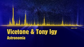 Vicetone amp Tony Igy  Astronomia [upl. by Naillik]