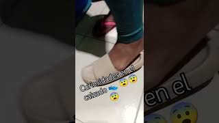 El misterio de las zapatillas 👟👞 shorts viral [upl. by Ayotnahs]