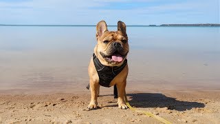 Varamon Beach · Motala Sweden [upl. by Jenni]