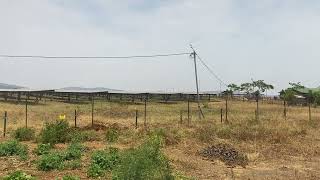 Solar farm [upl. by Eidda]