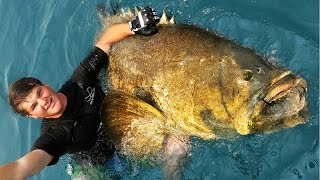 Extreme Goliath Grouper Fishing [upl. by Hey]