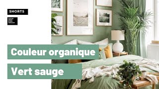 Inspiration couleur organique  Vert sauge [upl. by Iives]