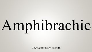 How To Say Amphibrachic [upl. by Heimer175]