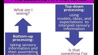 PERCEPTUAL APPROACHES [upl. by Eey]