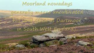 Heathland and Moorland biomes Movie [upl. by Oirad]