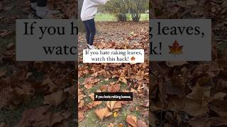 If you hate raking leaves watch this hack fallhacks fallcleaning cleaninghacks cleaningtips [upl. by Esej]