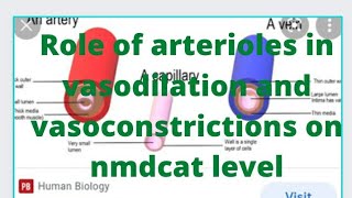 Role of arterioles in vasodilation and vasoconstriction [upl. by Nolita]