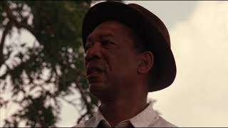 Red Finds Andys Message  The Shawshank Redemption 1994  Movie Clip HD Scene [upl. by Elleirb596]