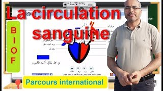 PARCOURS INTERNATIONAL BIOF la circulation sanguine [upl. by Yeclek]