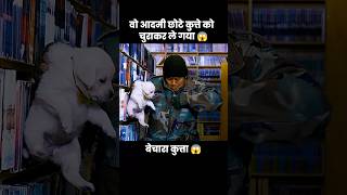 इस प्यारे से कुत्ते के बच्चे को उस आदमी ने चुरा लिया 😱  short anime cartoon dog [upl. by Tillo945]