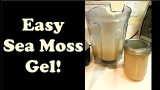 Make It Plant Based  Easy Sea Moss Gel Homemade [upl. by Levitt]