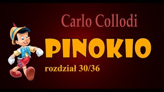 PINOKIO AUDIOBOOK  rozdział 3036  C Collodi  Pinokio zamiast stać się chłopcem ucieka [upl. by Niuqram174]