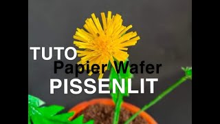 Tuto pissenlit papier wafer FRENCH [upl. by Rapsac]