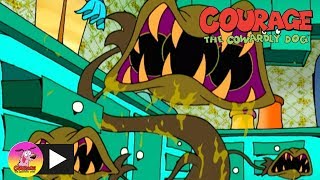 Courage the Cowardly Dog  Man Eating Plants  Cartoon Network [upl. by Yaeger740]