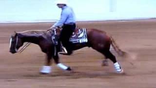 RR Star Player Reining Horse For Sale [upl. by Gupta377]