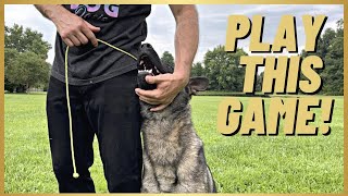 MUST PLAY GAME W YOUR DOG EASY OBEDIENCE FOR A BALL [upl. by Asila]