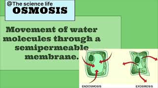 Osmosis amp Diffusion  Best Biology Content  The Science Life [upl. by Oap]