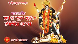 Tor Puja Tui Shikhiye De Maa  তোর পূজা তুই শিখিয়ে দে মা  Bengali Devotional Song [upl. by Nahshunn324]