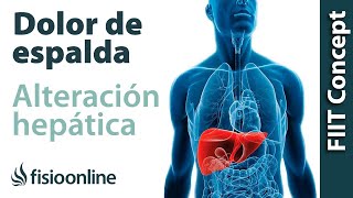 Disfunción de hígado y dolor de espalda dorsal cervical y cabeza  Causas y tratamiento [upl. by Button]