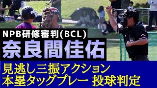 奈良間佳佑！NPB研修審判BCリーグ！見逃し三振アクション 本塁タッグプレー 投球判定！ [upl. by Larisa]