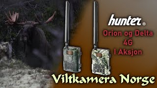 VILTKAMERA I AKSJON  Hunter Delta 4G og Hunter Orion 4G [upl. by Swee338]